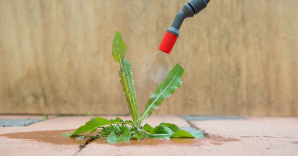 Glyphosate�: une nouvelle �tude d�ment le risque de cancer