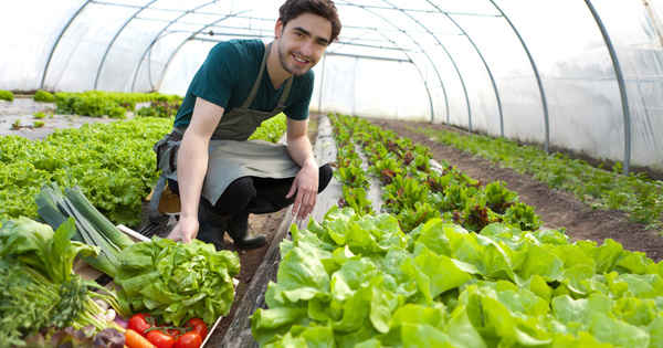 Agriculture bio�: les aides au maintien renvoy�es aux r�gions