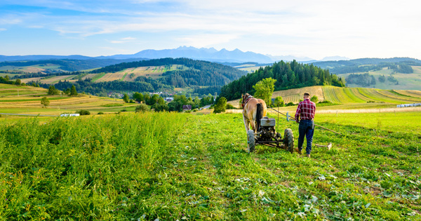 L'Inra livre sa carte des stocks de carbone � la FAO