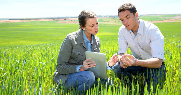 Ecophyto�: 50 projets retenus et lancement d'un nouvel appel � projets