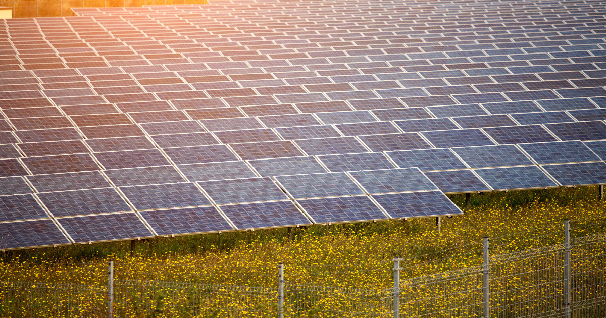Photovoltaïque au sol et projets solaires innovants : 127 lauréats retenus des deux appels d'offres