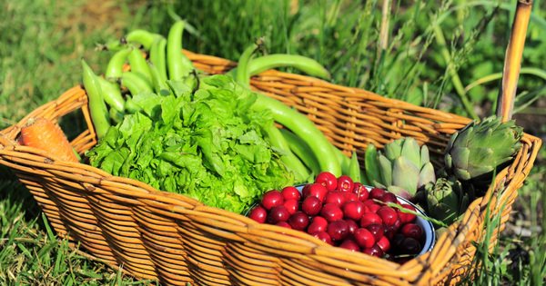 Alimentation bio�: la Cour des comptes europ�enne audite le syst�me de contr�le