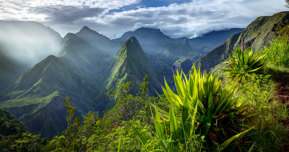 La Réunion annonce la création d'une agence régionale de la biodiversité