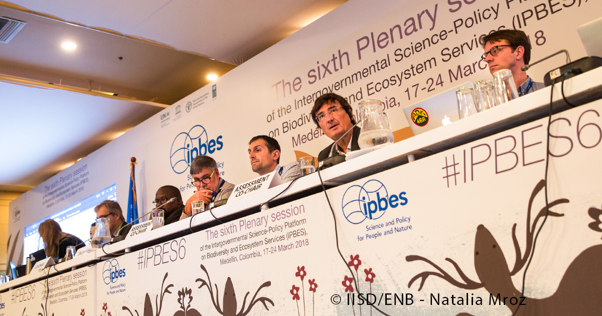 Biodiversité : la France accueillera la 7e session plénière de la plateforme intergouvernementale