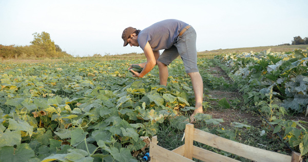 Les 15% de surfaces bio en 2022 inscrits dans la loi par les d�put�s