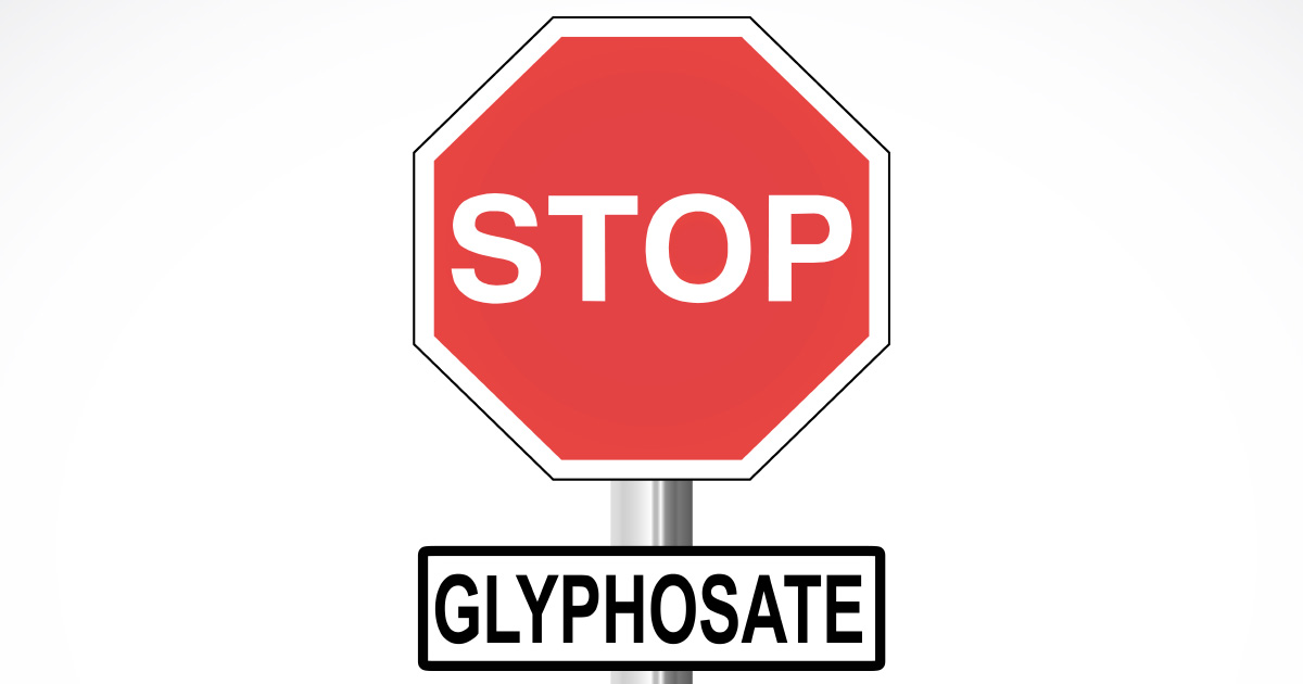 Sortie du glyphosate : les filières présenteront leurs premiers engagements d'ici trois semaines