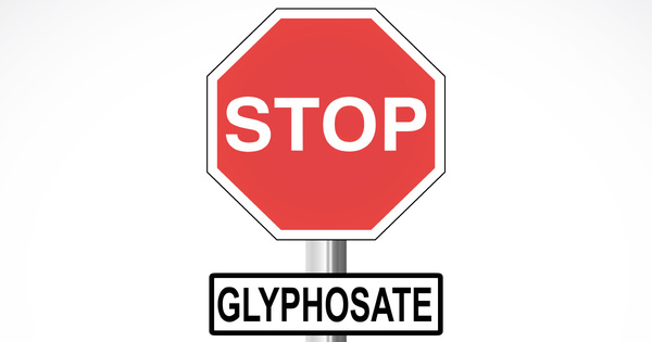 Sortie du glyphosate: les filires prsenteront leurs premiers engagements d'ici trois semaines