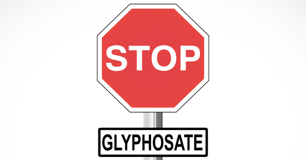 Sortie du glyphosate�: les fili�res pr�senteront leurs premiers engagements d'ici trois semaines