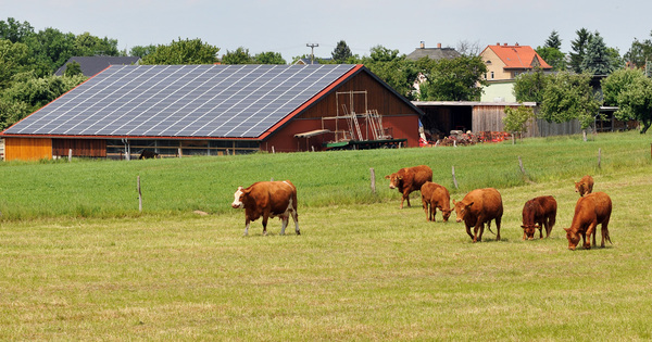 Energies renouvelables: pas de tarif d'achat spcifique pour les installations agricoles collectives