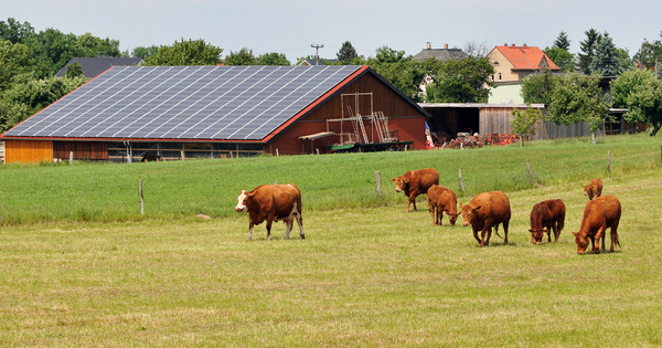 Energies renouvelables�: pas de tarif d'achat sp�cifique pour les installations agricoles collectives