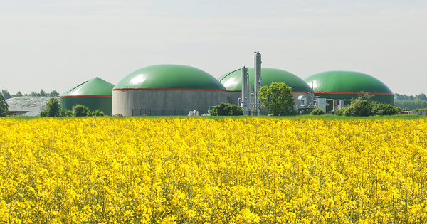 Biogaz�: les s�nateurs remettent en cause le principe de propri�t� publique des r�seaux