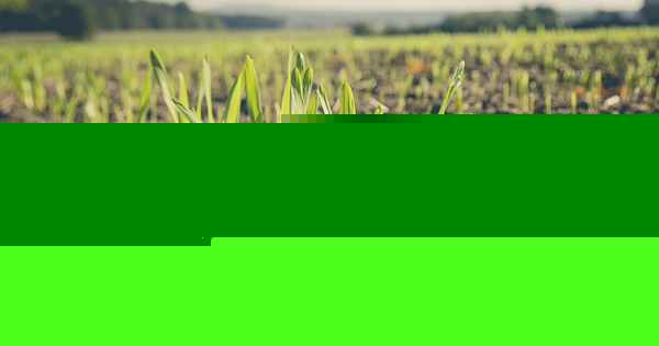 L'agriculture biologique favoriserait la r�gulation naturelle et la ma�trise des bioagresseurs