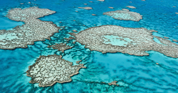 Rcifs coralliens: Brune Poirson s'attaque aux substances chimiques