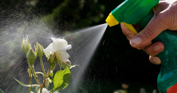 BASF finalise son acquisition des activit�s de Bayer, apr�s le rachat de Monsanto
