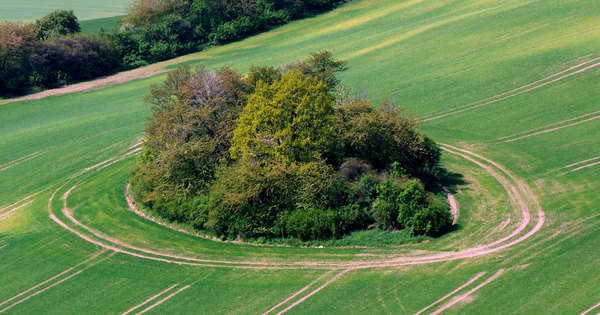 Services environnementaux�: une r�mun�ration des agriculteurs � l'�tude