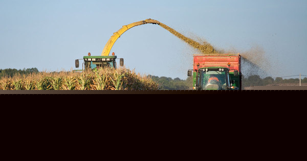 Un institut des hautes �tudes agricoles pour les d�cideurs pourrait voir le jour
