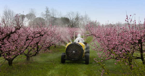 Appel � projets Ecophyto�: l'�dition 2018 est lanc�e