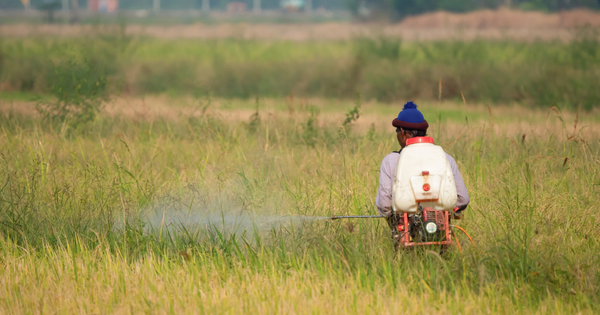 Glyphosate�: les faucheurs volontaires bretons portent aussi plainte