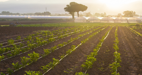 Eaux uses pures: le projet de rglement europen se recentre sur l'irrigation