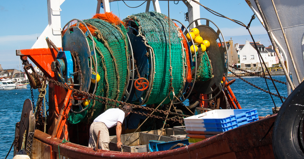 Données sur les subventions à la pêche : L'association Bloom lance un recours contre l'Etat