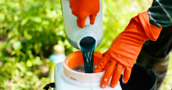 Le S�nat revient sur l'interdiction de fabriquer en France des pesticides interdits d'usage