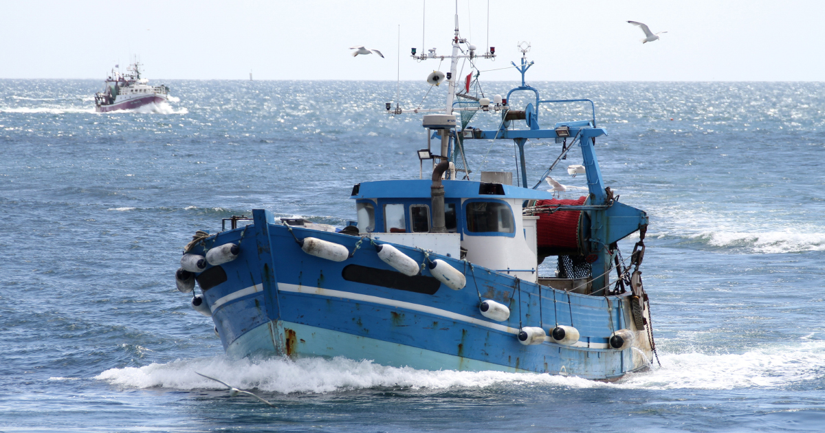 Pêche électrique : la Commission européenne annonce une procédure contre les Pays-Bas