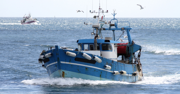 P�che �lectrique�: la Commission europ�enne annonce une proc�dure contre les Pays-Bas