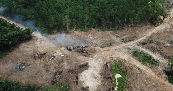 Montagne d'Or�: le Tribunal administratif de Guyane supprime une autorisation d'exploitation