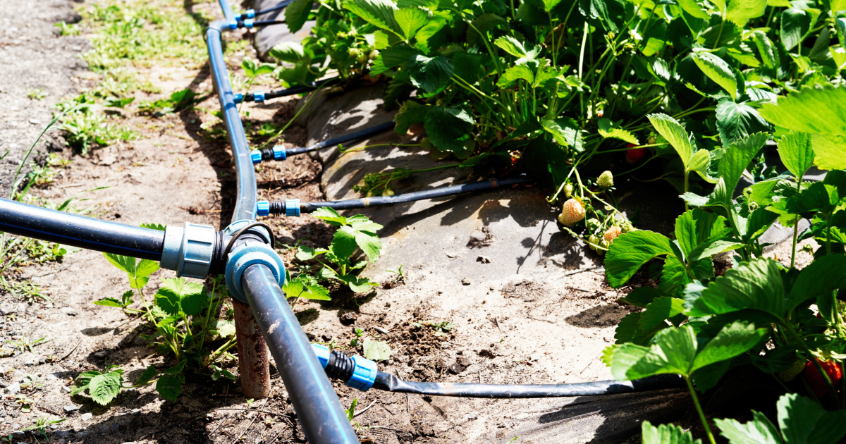Réutilisation de l'eau pour l'agriculture : Le Parlement européen adopte le projet de règlement