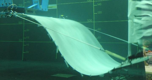 EEL Energy peaufine son hydrolienne inspir�e de la nage des poissons