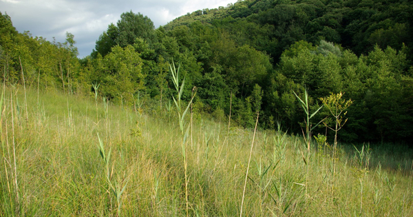 Biodiversit�: une obligation r�elle environnementale sign�e pour 99 ans en Savoie