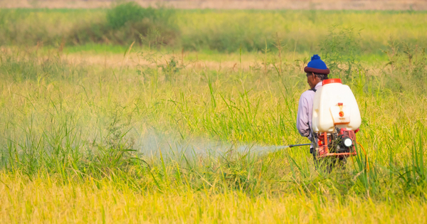 Glyphosate�: plus de 850 plaintes 