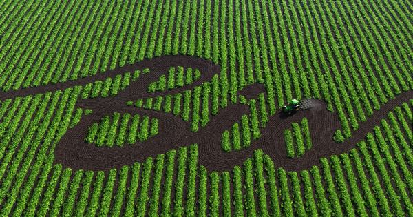 Conversion au bio�: le minist�re de l'Agriculture maintient la dur�e des aides � cinq ans