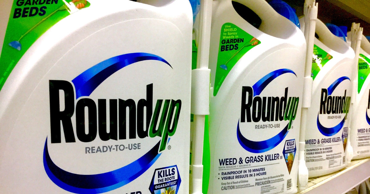 Glyphosate : l'herbicide de Monsanto a contribué au cancer d'un autre plaignant aux USA