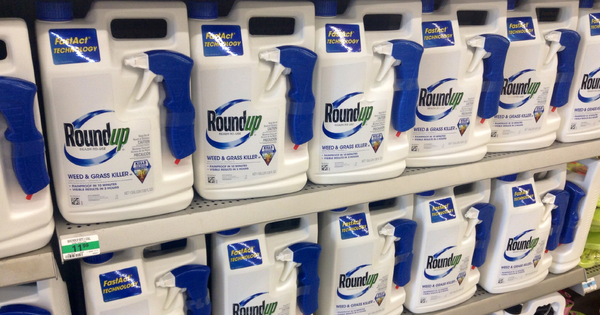 Glyphosate et cancer : Monsanto est condamné à verser près de 81 millions de dollars à Edwin Hardeman