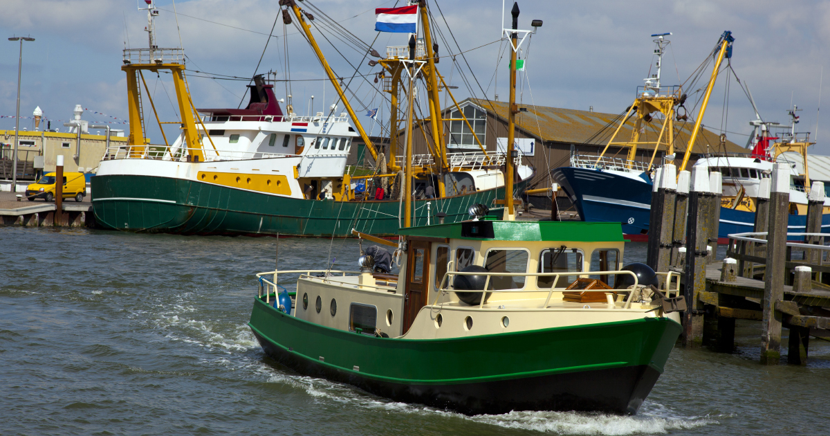 L'interdiction de la pêche électrique dans l'UE est définitivement adoptée