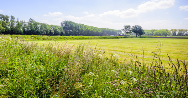 La d�carbonation du secteur agricole ne doit pas se faire au d�triment d'autres enjeux