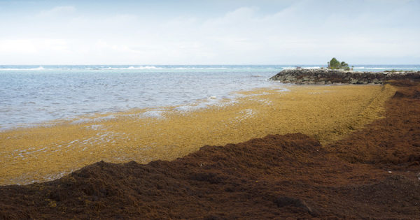 Gestion des risques majeurs en outre-mer&nbsp;: un poste de d�l�gu� interminist�riel est cr��