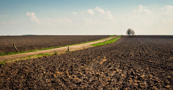 Glyphosate�: une �tude soup�onne des effets transmis sur plusieurs g�n�rations
