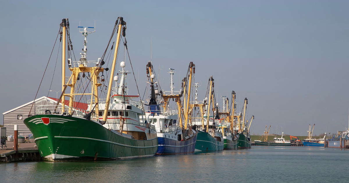 Pêche électrique : l'Assemblée nationale vote l'interdiction dans les eaux françaises