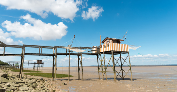 Le Parc naturel r�gional du M�doc est officiellement cr��