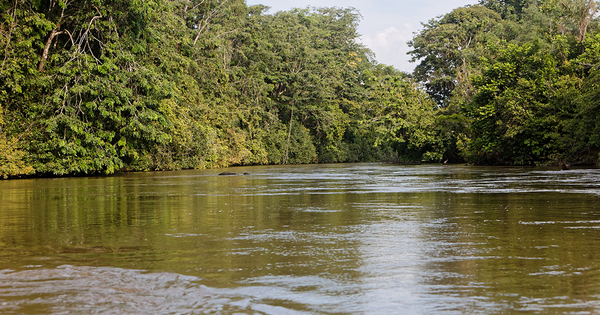 Substances mini�res en Guyane�: deux demandes de permis de recherche en consultation