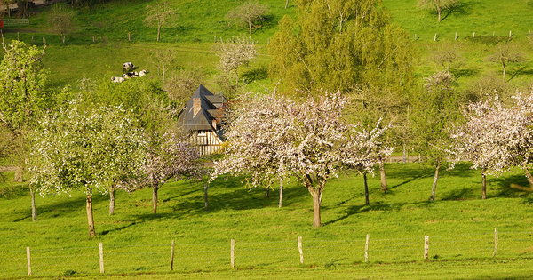 Biodiversit�: un premier agriculteur signe une obligation r�elle environnementale