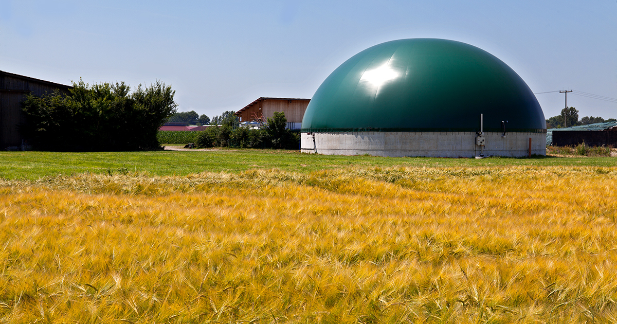 Biogaz : le rgime incitatif prcis dans le projet de loi nergie