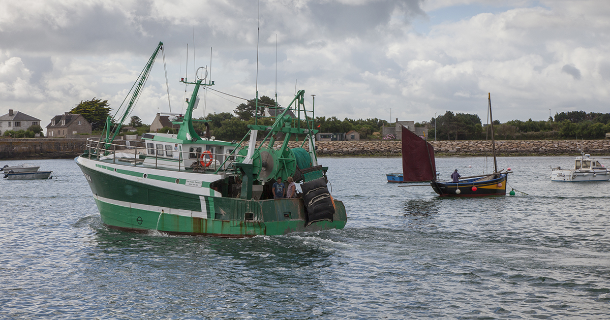 La pêche électrique interdite dans les eaux françaises depuis le 14 août