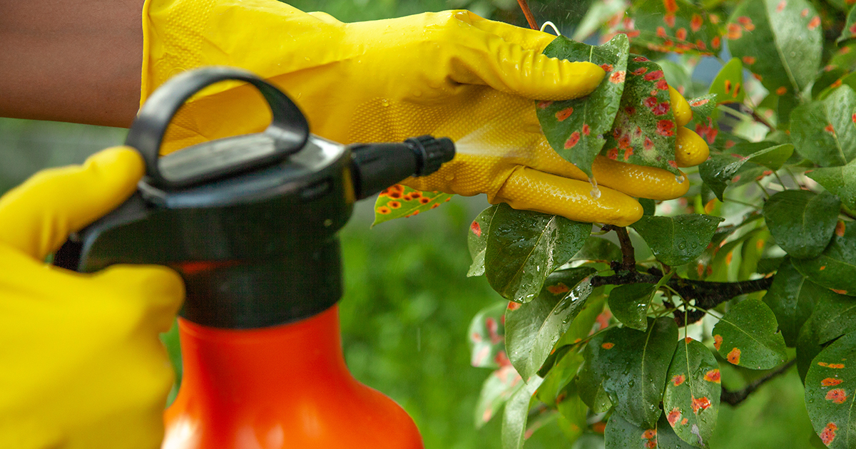 Rglement pesticides: pas de violation du principe de prcaution selon la justice europenne 