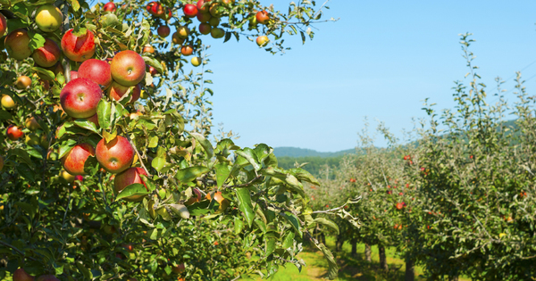 Sites naturels de compensation�: deux demandes d'agr�ment en consultation