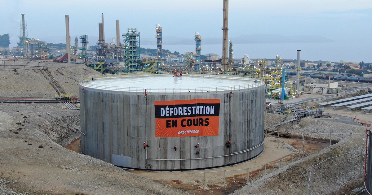 Raffinerie de La Mède : Greenpeace accuse Total d'utiliser l'huile de palme « non durable »