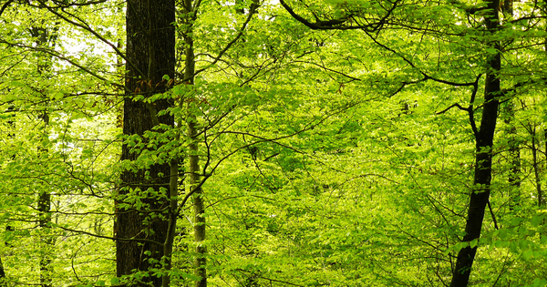 Une nouvelle dotation de soutien aux communes pour la protection de la biodiversit�