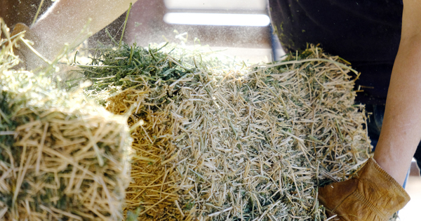 Agro�cologie�: la Bretagne et la Nouvelle-Aquitaine veulent exp�rimenter des contrats de territoire